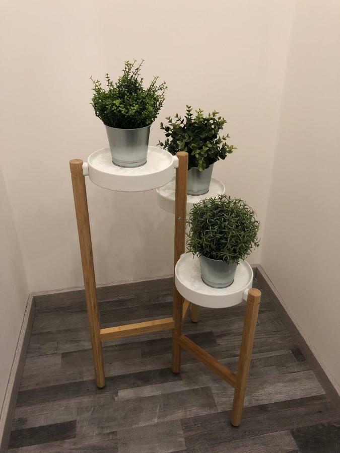 Apartament Tembo House - Pantano Katania Zewnętrze zdjęcie